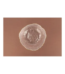 Bol 17x8.5cm Love&home