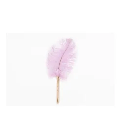 Bolígrafo Pluma Stationary