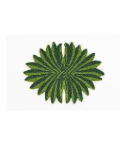 Salvamanteles Hojas 40x30cm Love&home